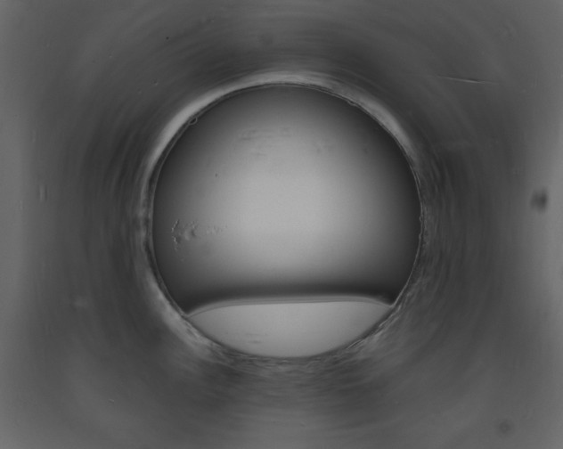 X0000094061148200710190926