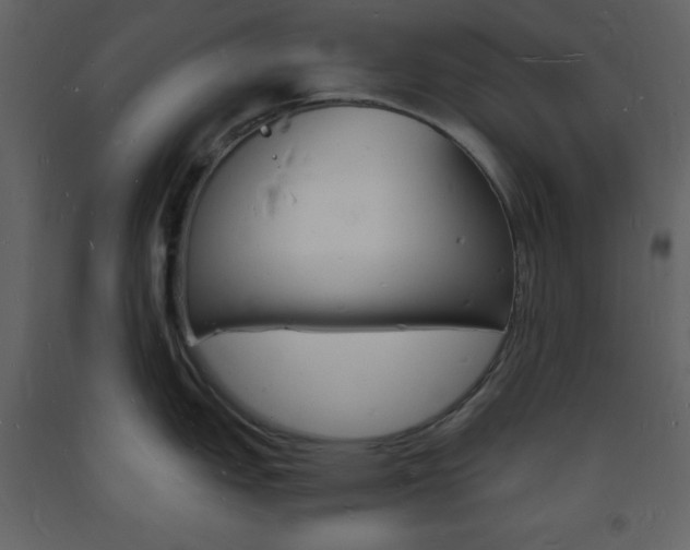 X0000094061151200710190926