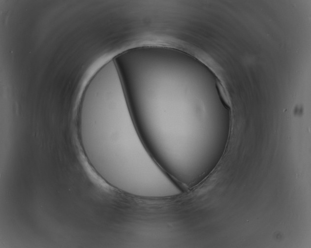 X0000094061152200710190926