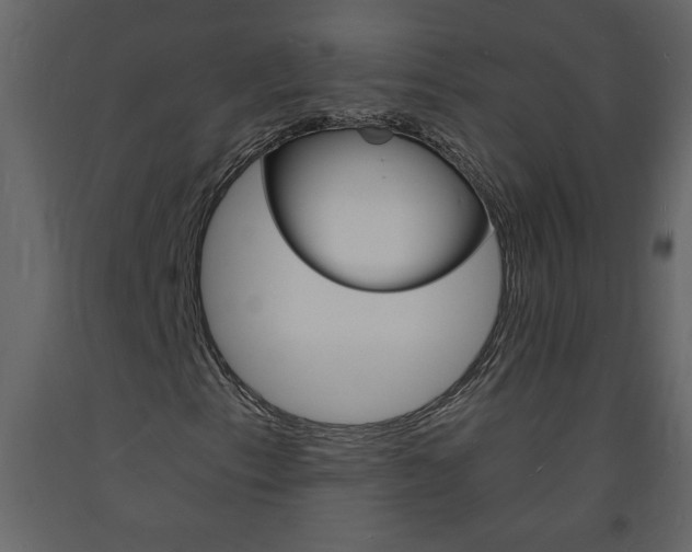 X0000094061153200710190926