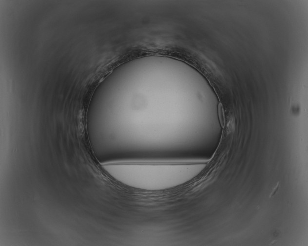X0000094061156200710190926