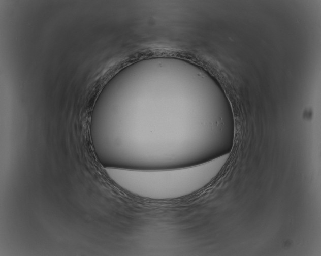 X0000094061157200710190926
