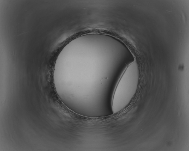 X0000094061159200710190926