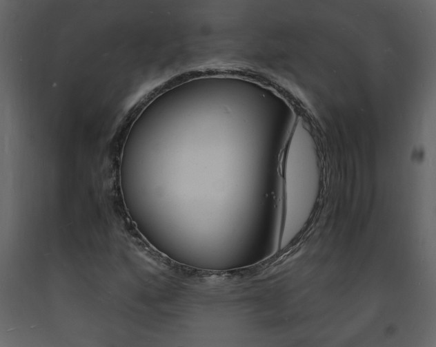 X0000094061160200710190926