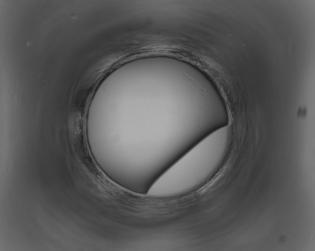 X0000094061161200710190926