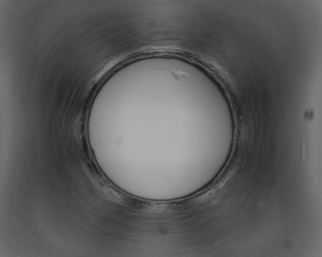 X0000094061162200710190926