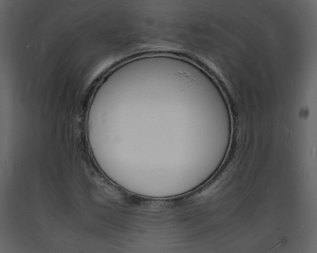 X0000094061163200710190926