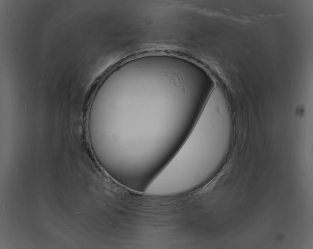 X0000094061165200710190926