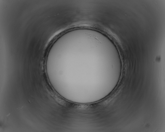 X0000094061166200710190926