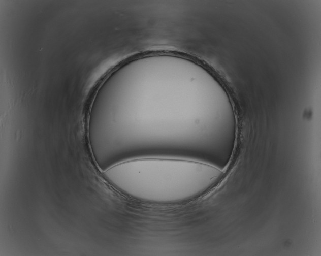 X0000094061167200710190926