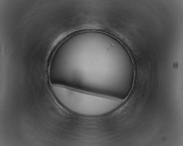 X0000094061168200710190925