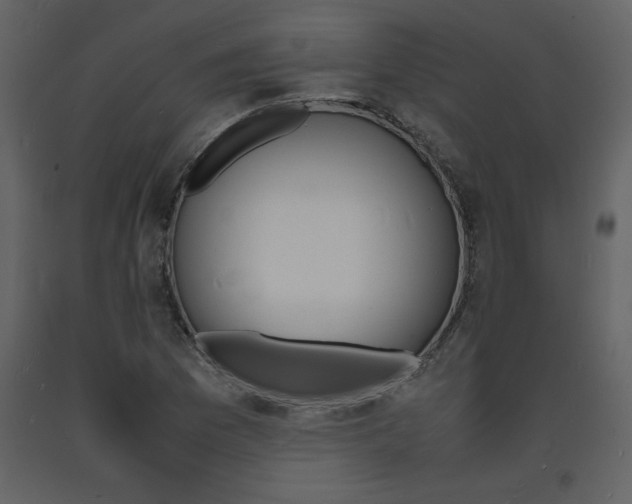 X0000094061169200710190925