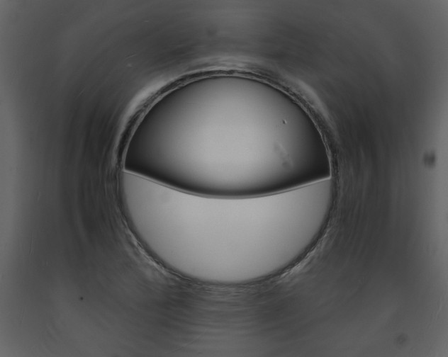 X0000094061172200710190925