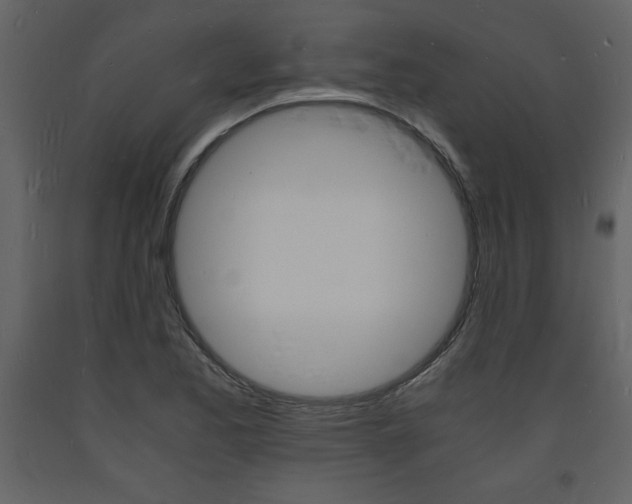 X0000094061173200710190925