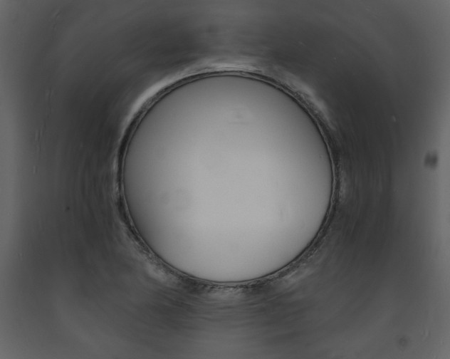 X0000094061174200710190925