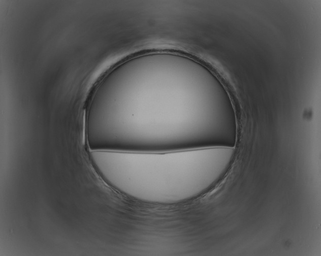 X0000094061175200710190925