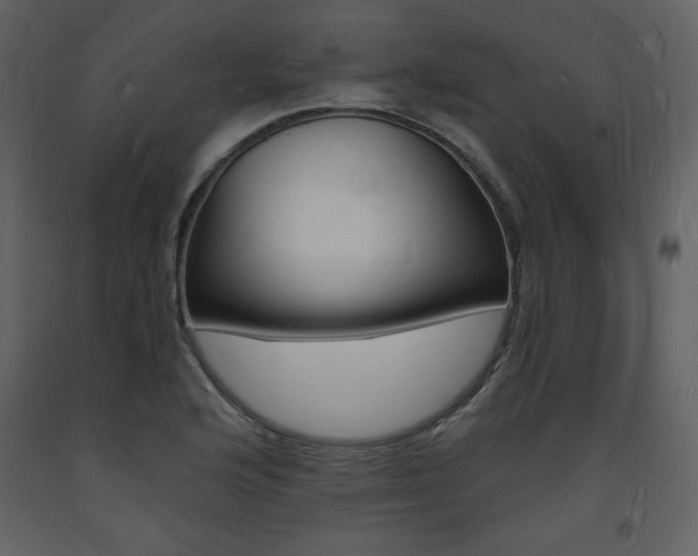 X0000094061176200710190925