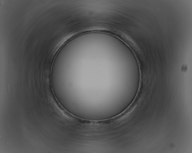 X0000094061177200710190925