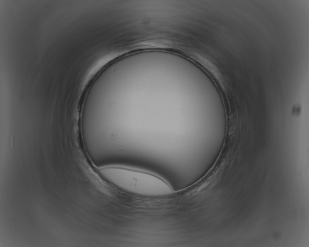 X0000094061179200710190925