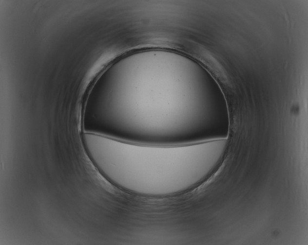 X0000094061180200710190925