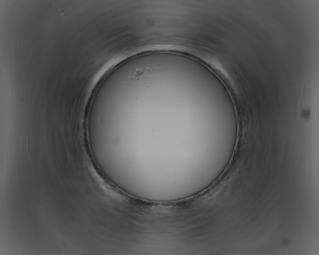 X0000094061181200710190925