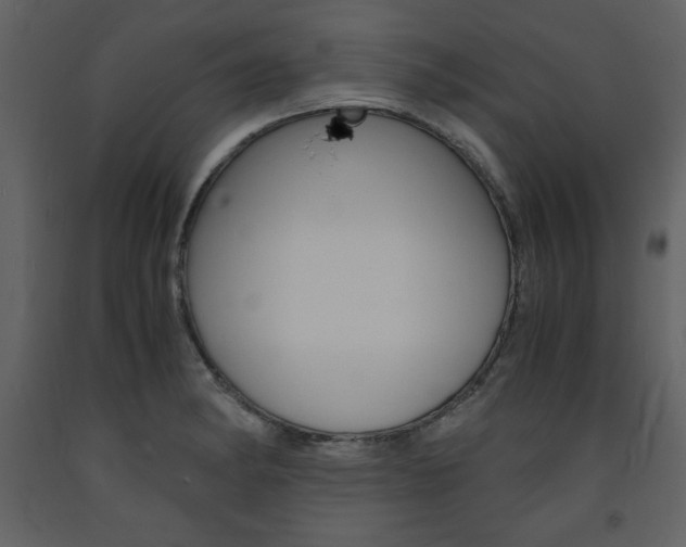 X0000094061182200710190925