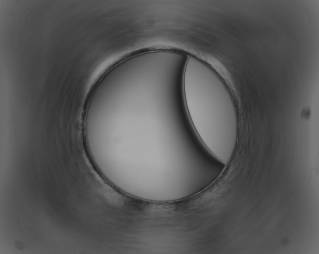 X0000094061183200710190925