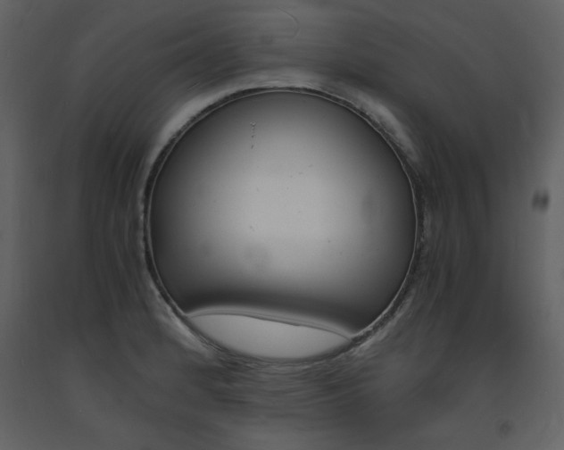 X0000094061184200710190925