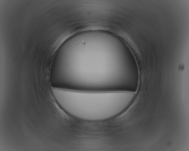 X0000094061185200710190925