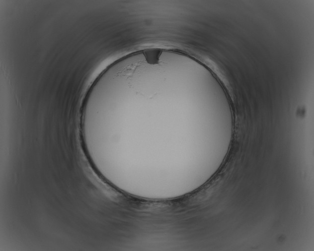 X0000094061187200710190925