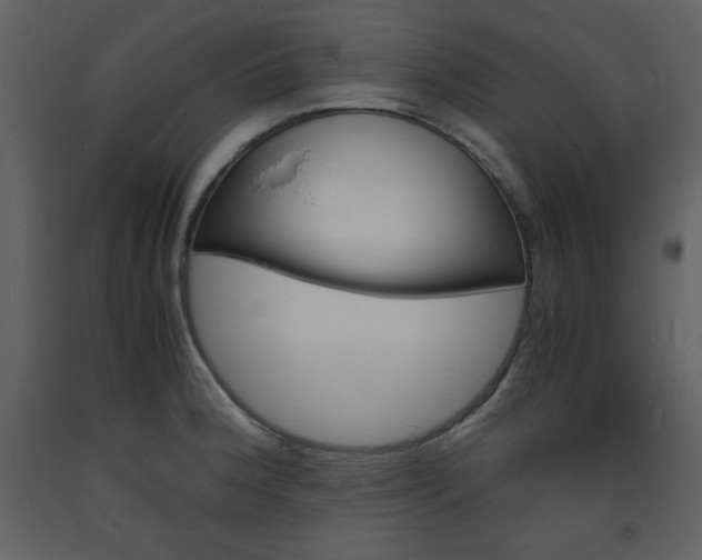 X0000094061188200710190925