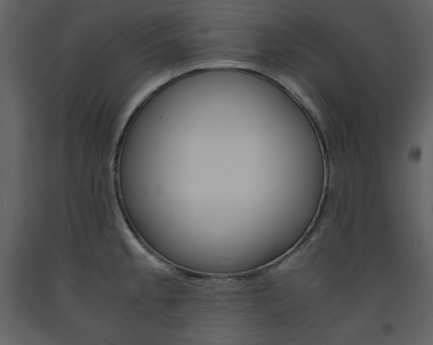 X0000094061189200710190925