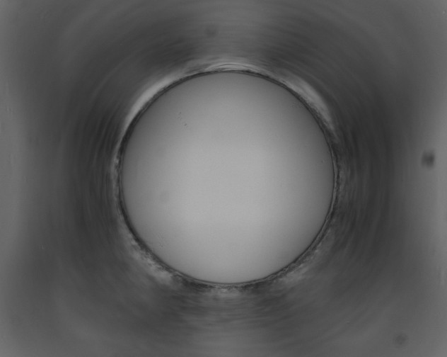 X0000094061190200710190925