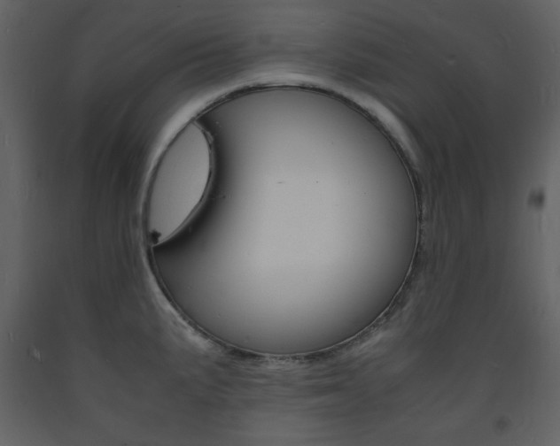X0000094061191200710190925