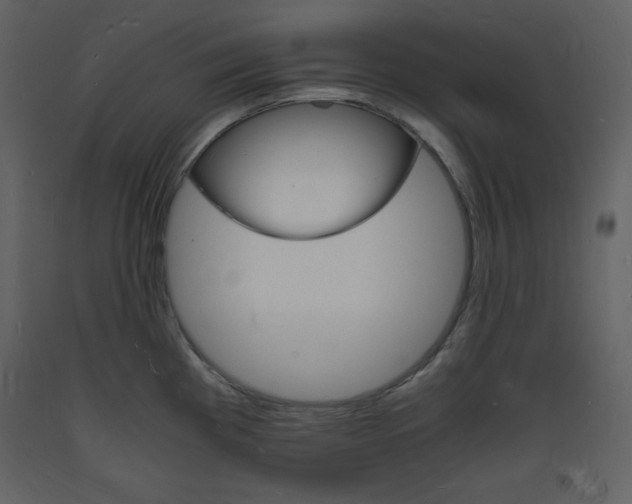 X0000094061193200710190925
