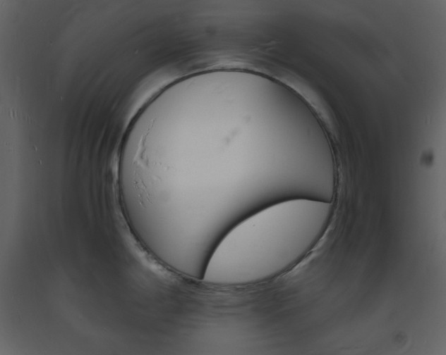 X0000094061198200710190925