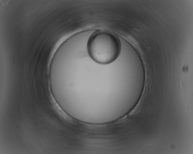 X0000094061200200710190925