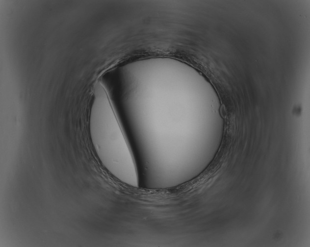X0000094061201200710190924