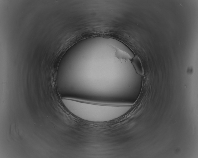 X0000094061202200710190924