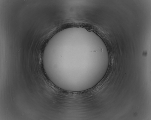 X0000094061204200710190924