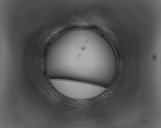 X0000094061205200710190924