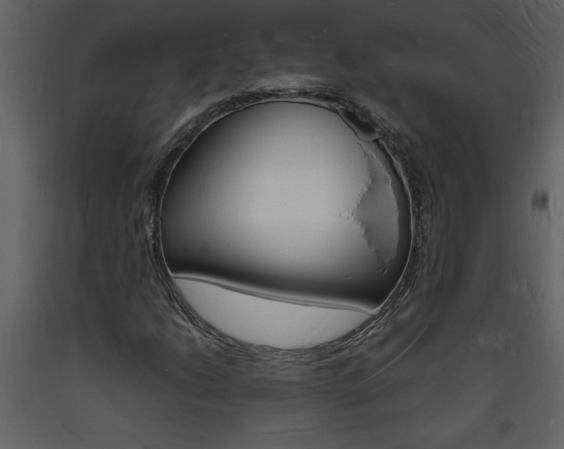 X0000094061206200710190924