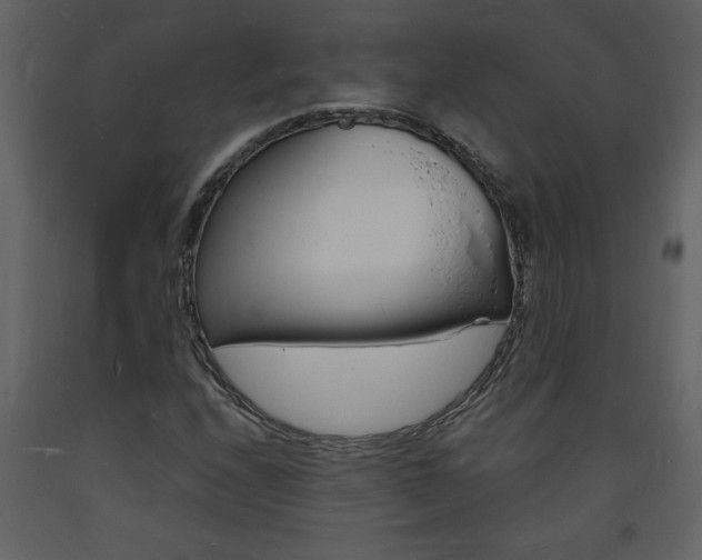 X0000094061208200710190924