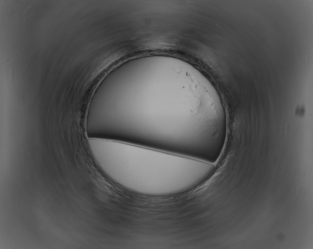 X0000094061209200710190924