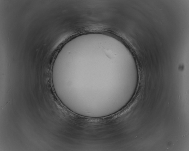 X0000094061211200710190925