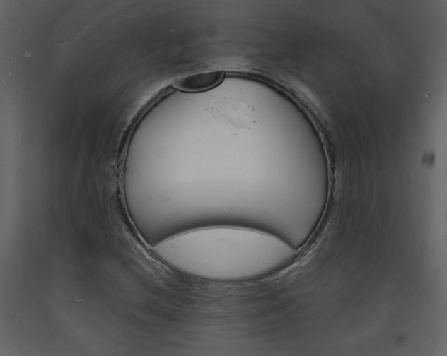 X0000094061212200710190925