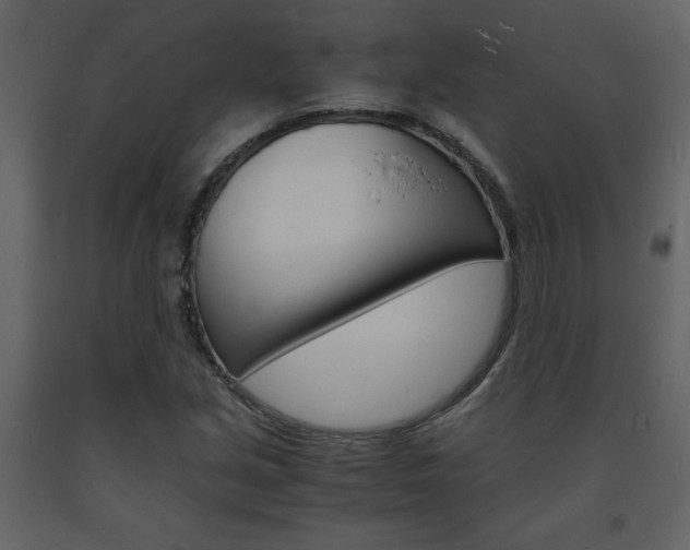 X0000094061213200710190925