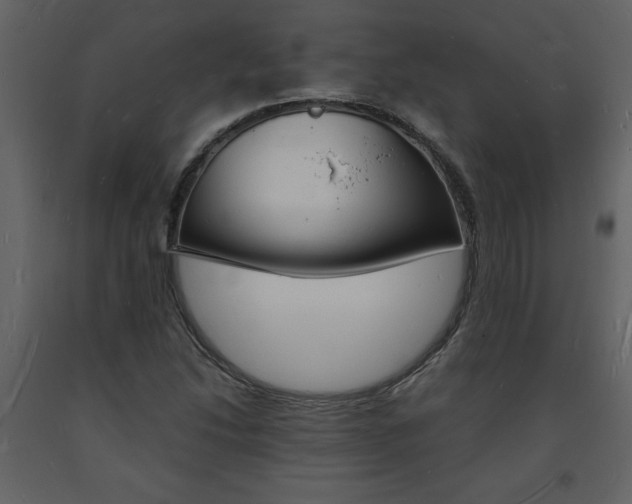 X0000094061214200710190925