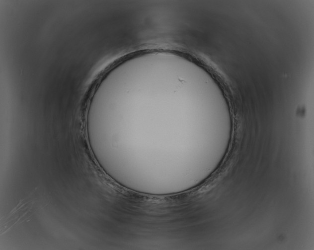 X0000094061215200710190925