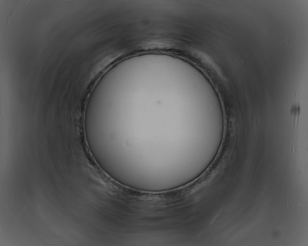 X0000094061217200710190925